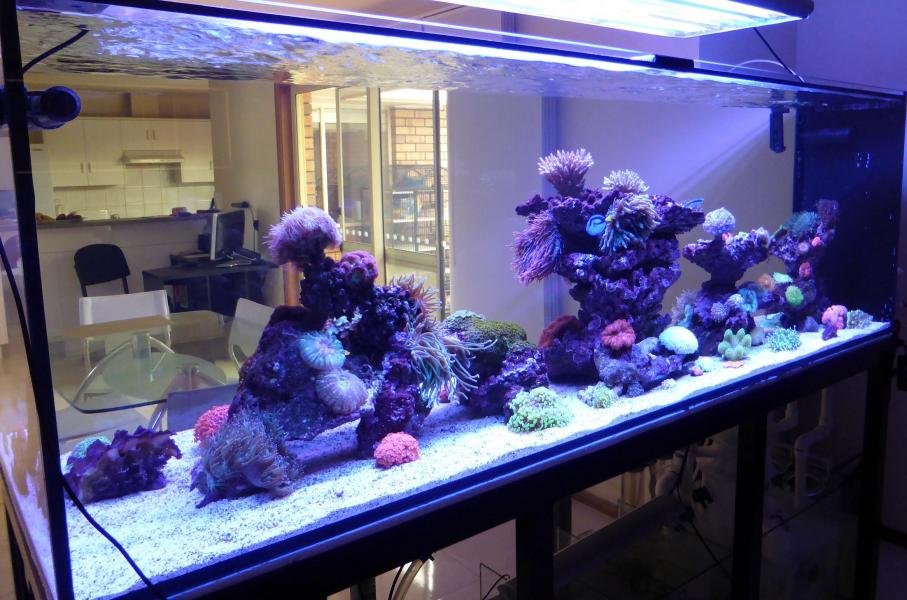 Name:  nice fts.jpg
Views: 148
Size:  91.3 KB