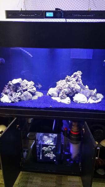 Name:  20140724_180424.jpg
Views: 755
Size:  30.7 KB