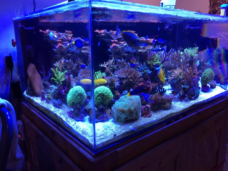 Name:  image.jpg
Views: 776
Size:  85.2 KB