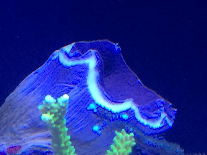 Name:  image.jpg
Views: 130
Size:  44.8 KB