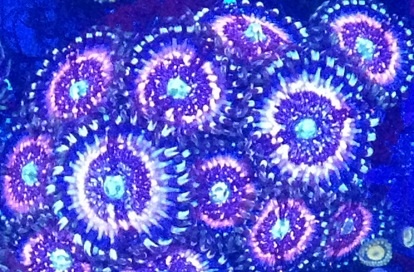 Name:  image.jpg
Views: 64
Size:  77.8 KB