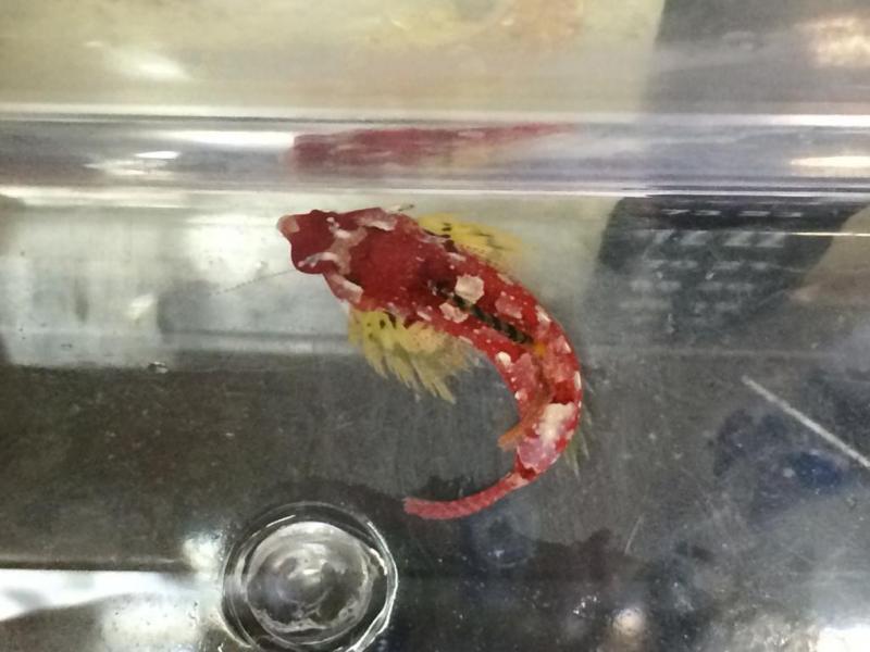 Name:  photo-2.jpg
Views: 124
Size:  50.1 KB