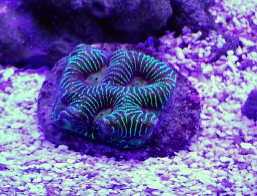 Name: 2014-02-16 20.05.41.jpg
Views: 257
Size: 47.2 KB