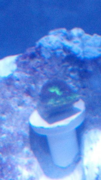 Name:  IMG_20140217_155750_661.jpg
Views: 207
Size:  25.6 KB