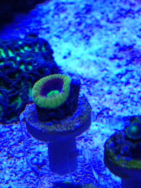 Name:  ImageUploadedByTapatalk1425844884.517174.jpg
Views: 80
Size:  49.3 KB