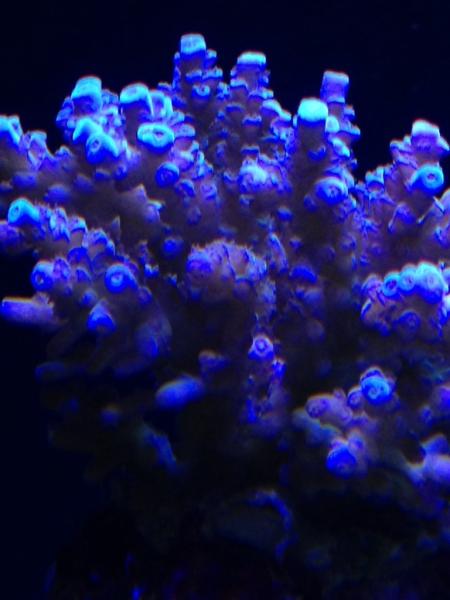 Name:  ImageUploadedByTapatalk1425844939.150824.jpg
Views: 88
Size:  31.2 KB