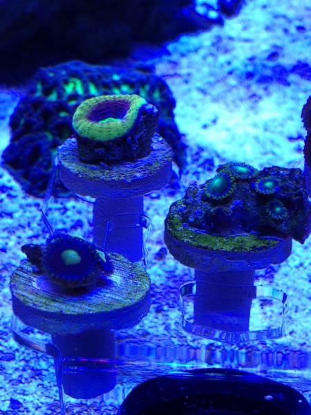 Name:  ImageUploadedByTapatalk1425845028.782178.jpg
Views: 78
Size:  51.7 KB