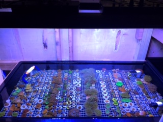 Name:  IMG_4747.JPG
Views: 132
Size:  39.3 KB