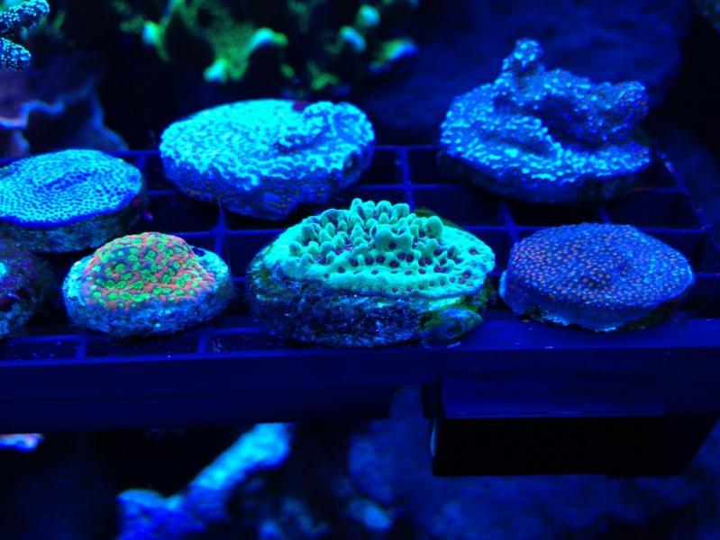 Name:  rackright.jpg
Views: 465
Size:  58.5 KB