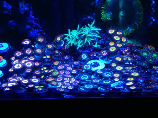 Name:  00e0e_57sNfgtXC1q_600x450.jpg
Views: 202
Size:  46.5 KB