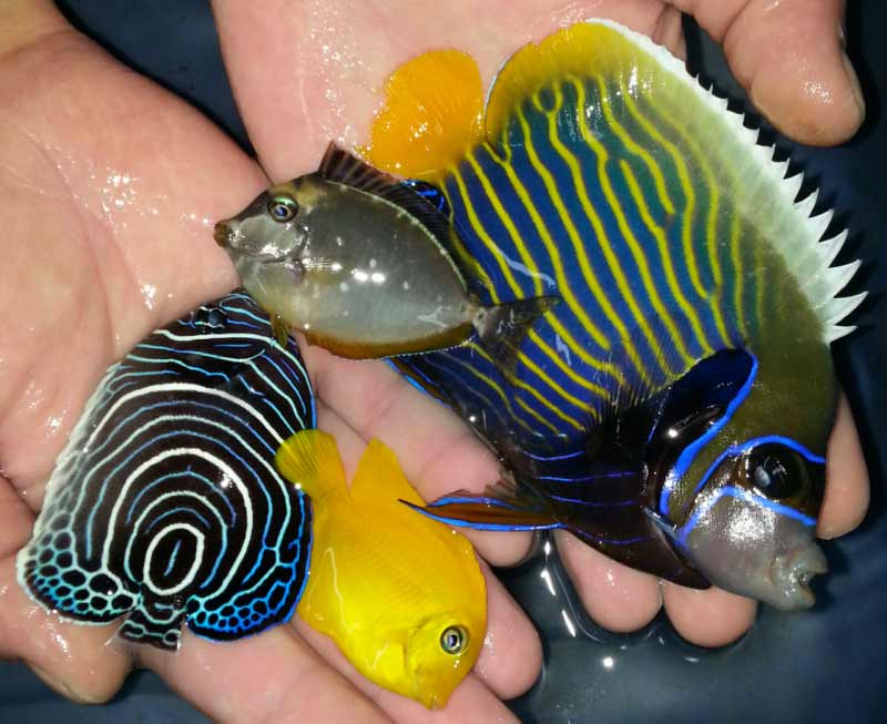 trop image - Incredible Black Friday Sale at Trop