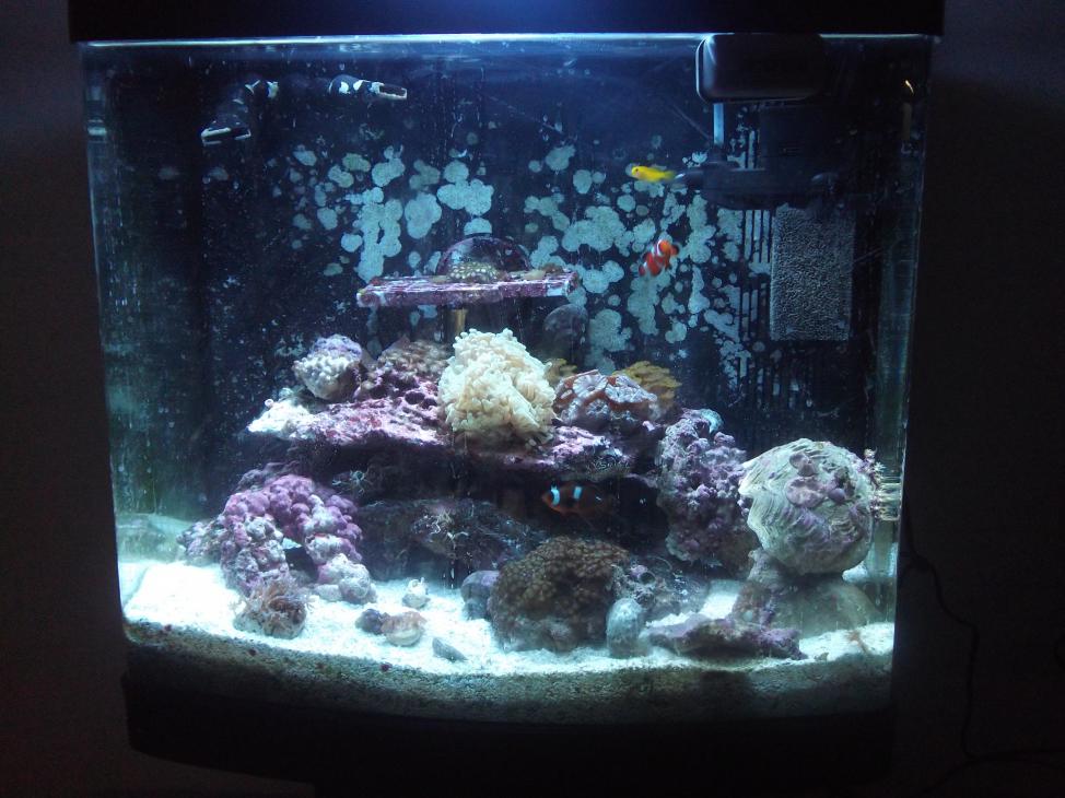 1976 green ric - bigbill 80 gallon