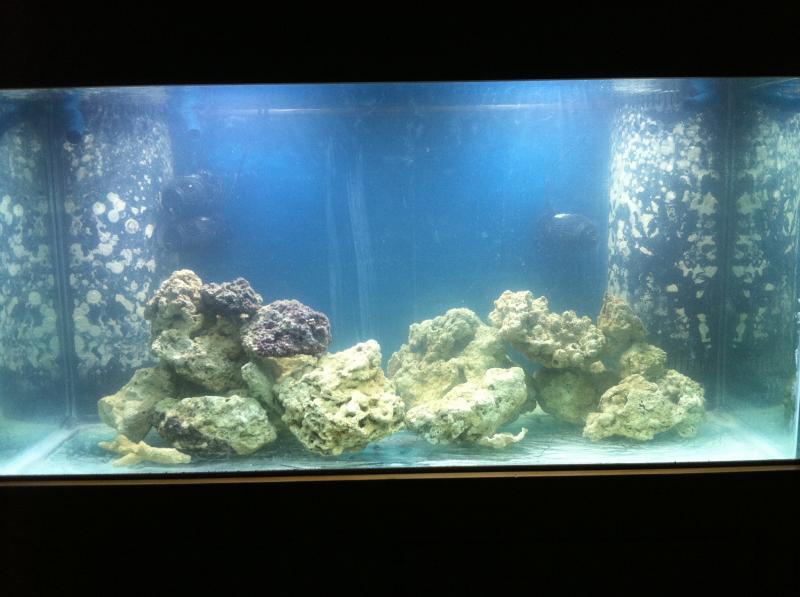 1579 123 - My new tank build