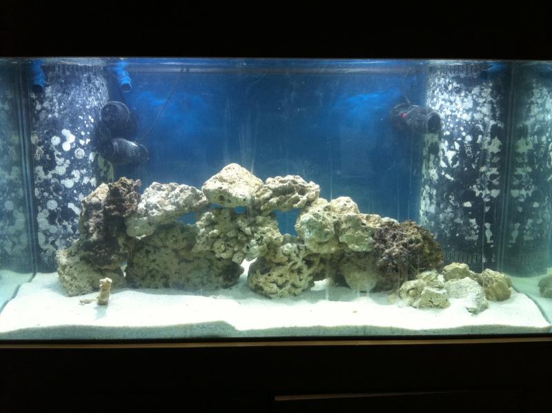 1616 1234 - My new tank build