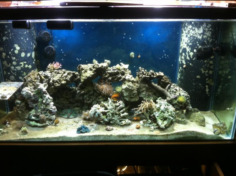 1937 fts - My new tank build