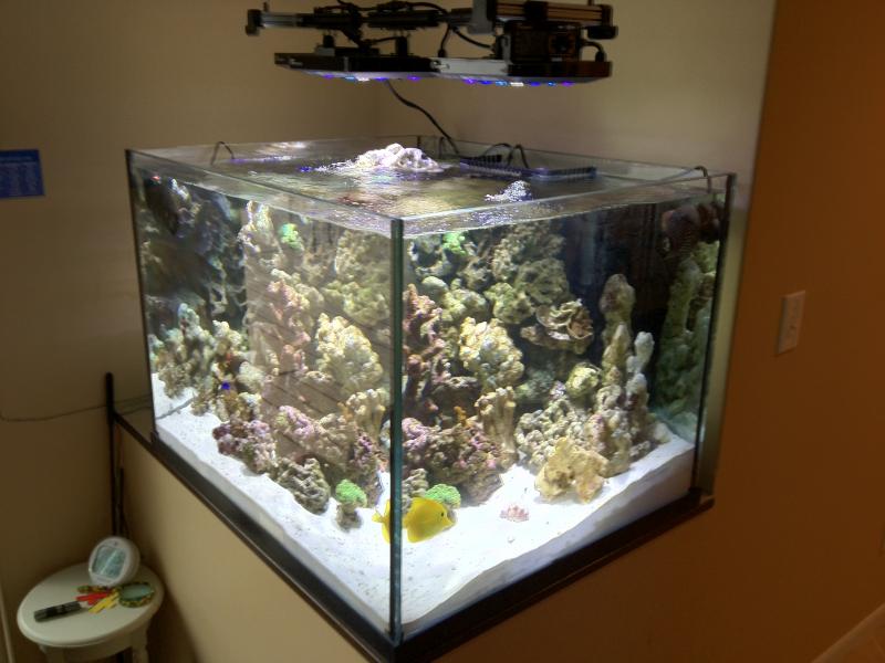 2440 a - Member's Official Full Tank Shot Thread