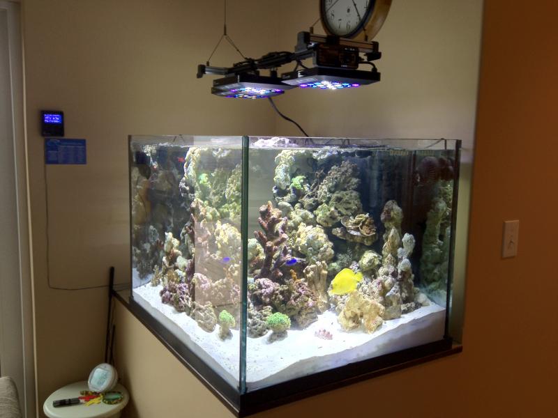 2442 a - Member's Official Full Tank Shot Thread