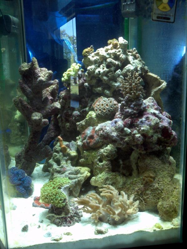 2212 img 20110826 092035 - Member's Official Full Tank Shot Thread