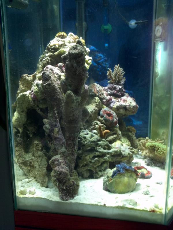 2213 img 20110826 092043 - Member's Official Full Tank Shot Thread