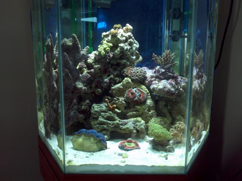 2214 img 20110826 091912 - Member's Official Full Tank Shot Thread