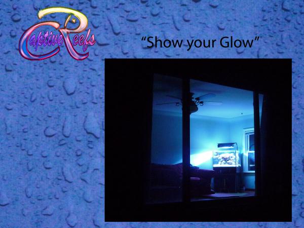 picturephp?albumid121&amppictureid587 - Enter the July POTM Contest sponsored by The Blue Glow