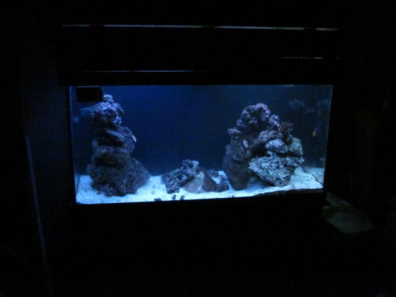 picturephp?albumid217&amppictureid1297 - Bk's 90 gallon two point ohhhh