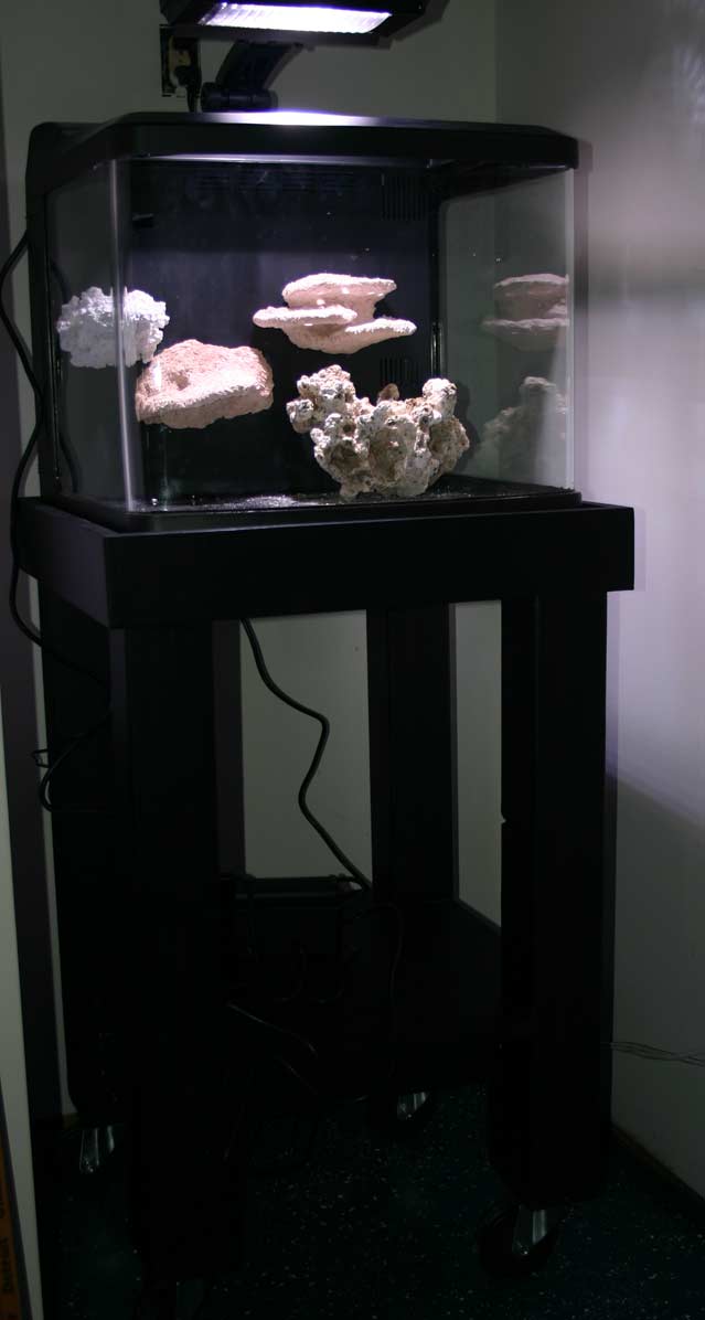 newstand - jimsflies Invert Ranch