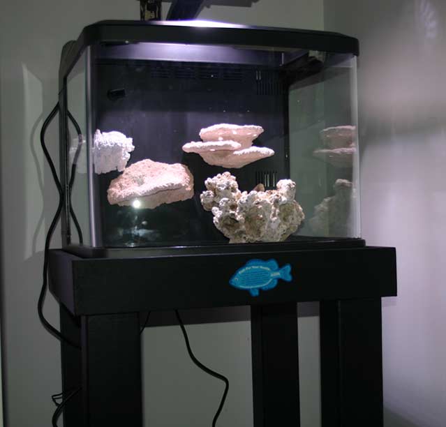 newstand2 - jimsflies Invert Ranch