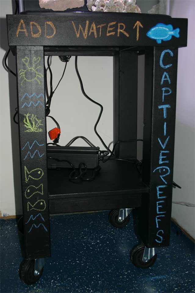 newstand3 - jimsflies Invert Ranch