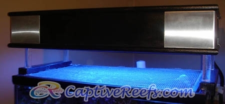 canopy - Show Off Your Custom Canopies and Stands