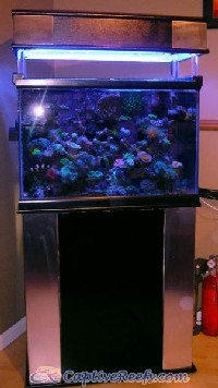 jims50 - Show Off Your Custom Canopies and Stands