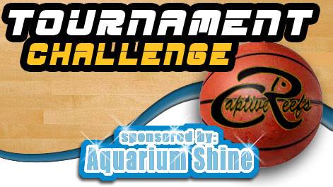 basketball tournament challenge - March Madness Tournament Challenge - sponsored by Aquarium Shine