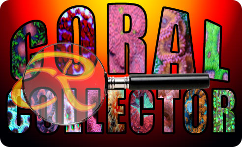 coralcollector lg - Introducing CR Coral Collector!