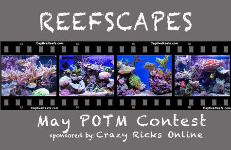 potm reefscapes lg - May POTM - sponsored by Crazy Ricks Online